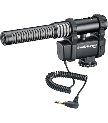 Amazon.com: Azden SMX-30 Stereo/Mono Switchable Video Microphone